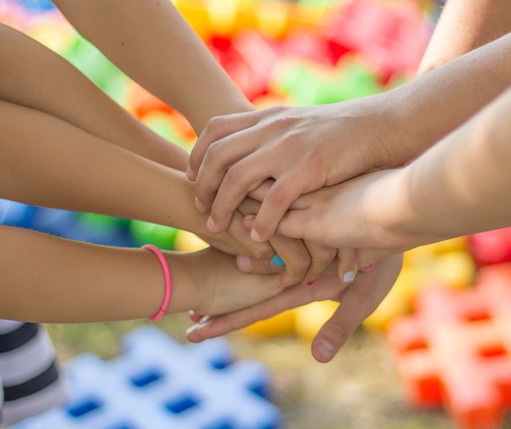 legge educazione cittadinanza